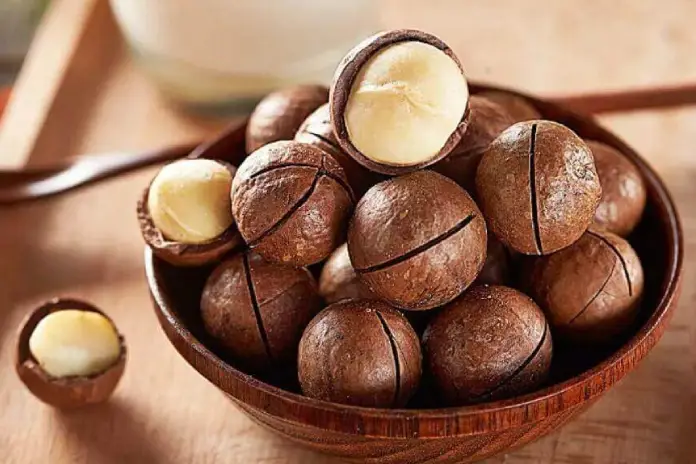 Сладкий орех макадамия: полезные свойства, о которых вы не знали