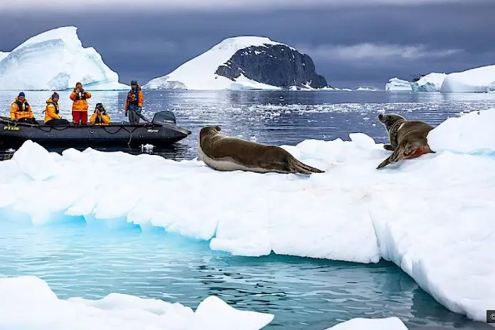 Стоит ли ехать на край света: первое открытие Антарктиды